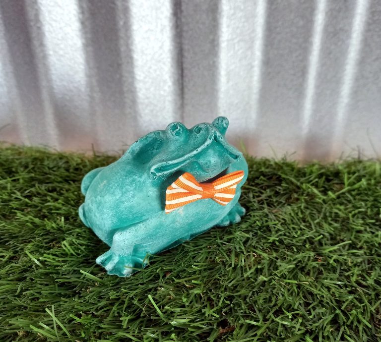 MS 062 – Frog