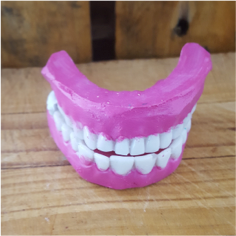 MS 087 – Set of False Teeth