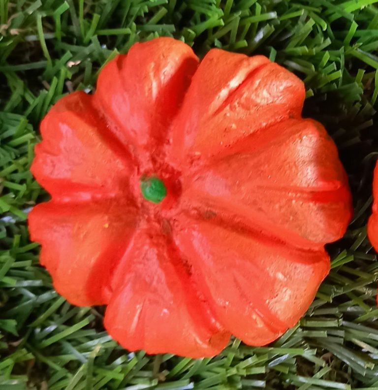MS 100 – Pumpkin