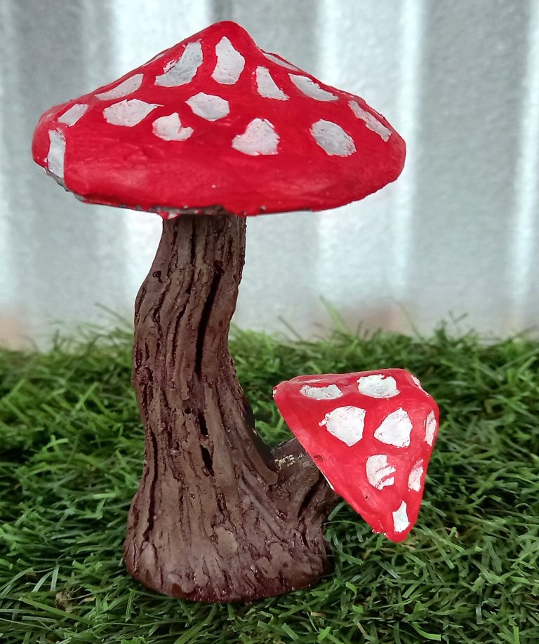 MS 132 – Mushroom pair