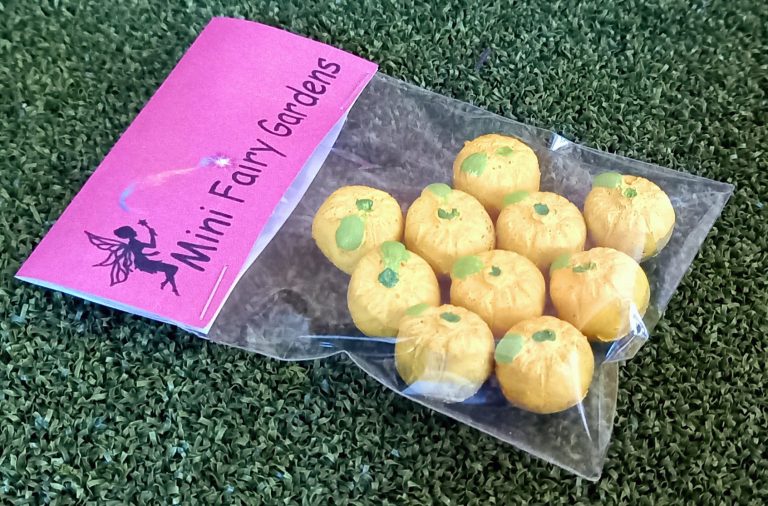 MS 142 – Lemons 10's