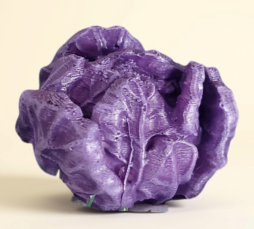 The Moonlight Cabbage — product view