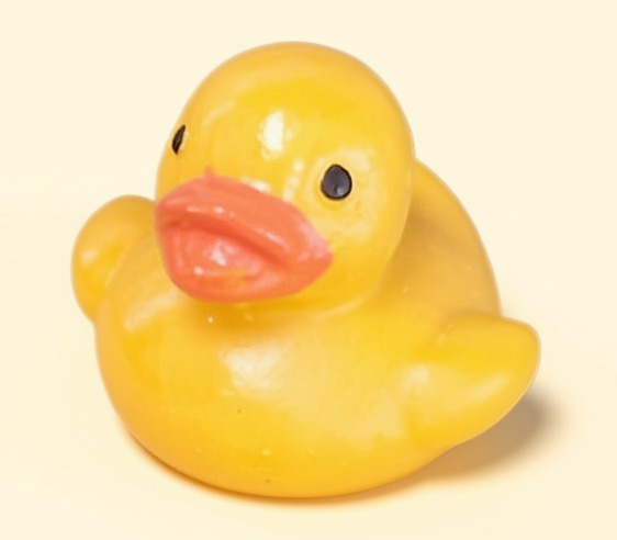 Puddle – The Pondside Duck — product view